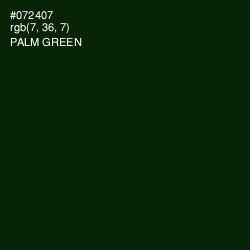 #072407 - Palm Green Color Image